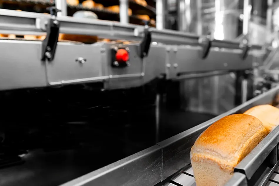 Commercial bread loaves moving along a bakery production conveyor inside a professional bread facility.