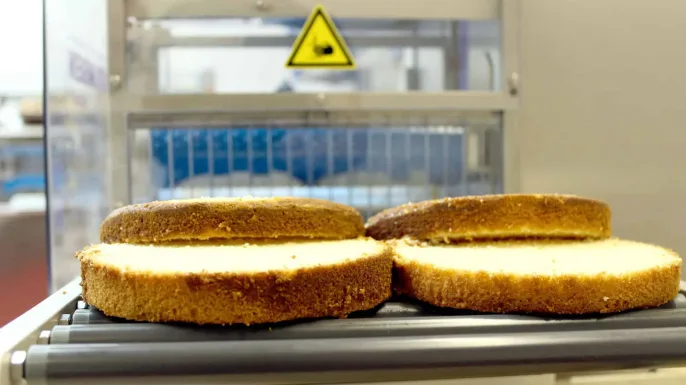 Cake Slicer | Layers, Slabber | Bakery Equipment