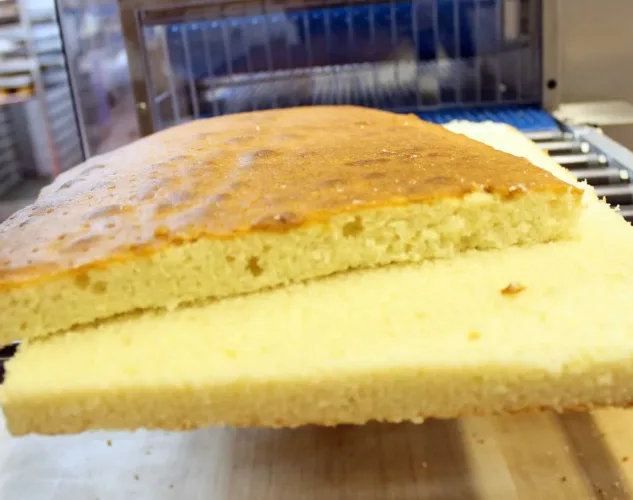 Linear Cake Slabber | Tabletop | Bakery Equipment