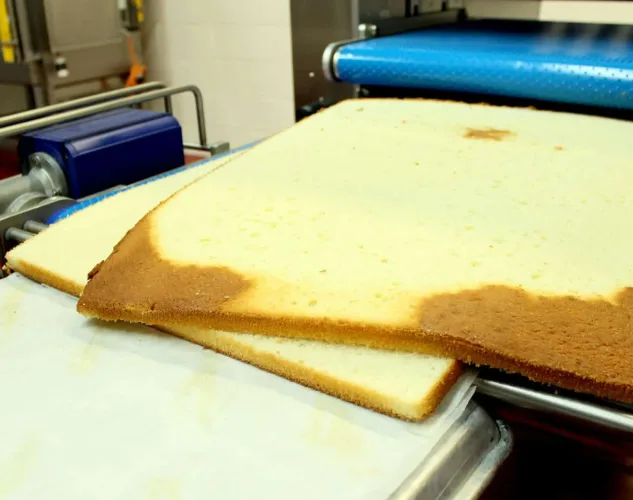 Cake Slabber | Industrial Bakery Equipment