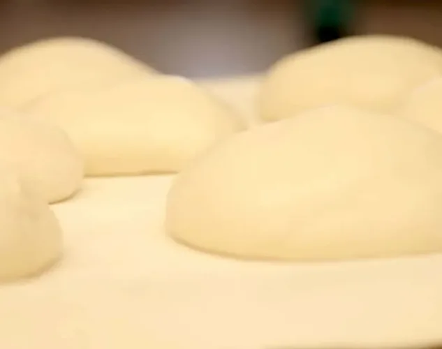 Colbake Belt Rounder Processed Dough