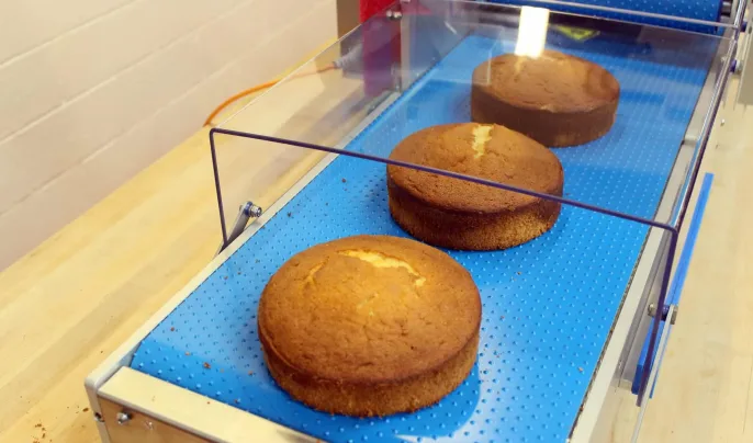 Tabletop Cake Slabber | Round Cakes