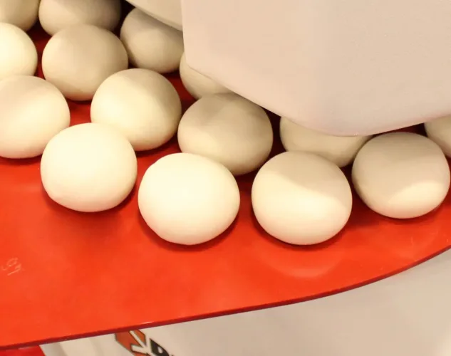 Erika Dough Divider/Rounder | Dough Balls