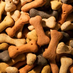 Mix of colorful dog biscuits in a bone shape. Colors include red, yellow and black.
