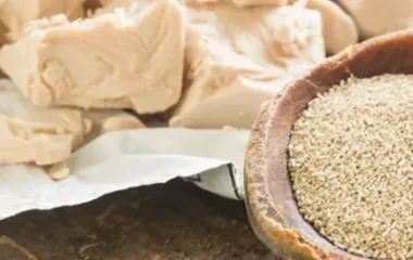 Instant Yeast Conversions