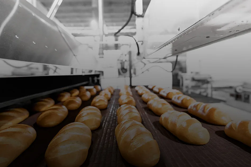 Industrial bakery using high-capacity dough mixers, sheeters, and automated equipment from Erika Baking Equipment. This includes tunnel oven options for producing large volumes of artisan bread.